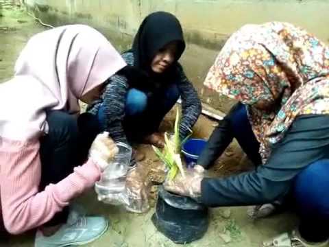 Salep untuk pembesaran penis di apotek Aktivator untuk wanita di apotik