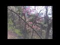 William Ackerman - The Moment In Which You Must Finally Let Go Of The Tether Which Has Held Your ~
