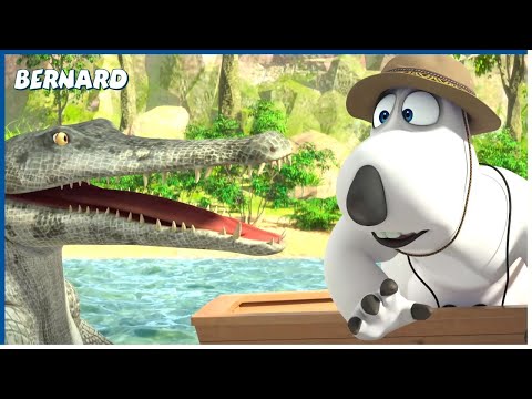 Jungle Trip | Bernard | 85' Compilation