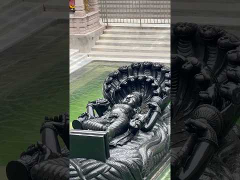 Jalanarayana Swamy in Water At Swarnagiri Temple | #koneru #god #swarnagiri #ananthapadmanabhaswamy