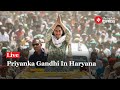 Priyanka Gandhi’s Roadshow In Haryana | Lok Sabha Election 2024