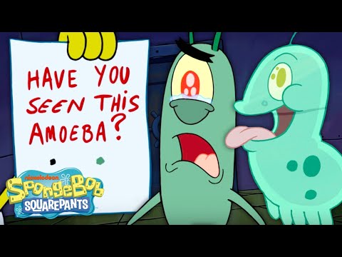 Plankton Loses His New Pet! ? | SpongeBob
