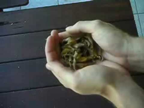 Creature by Keith Lack and Arlen Studio