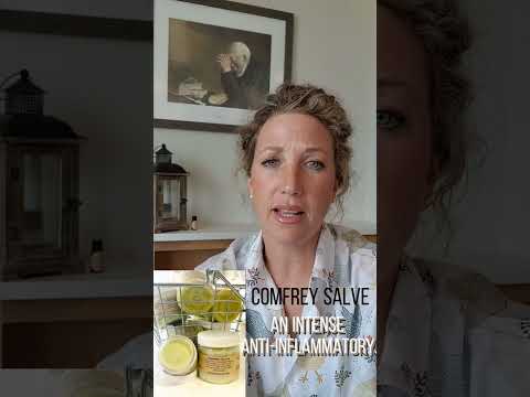 Comfrey Extract Powder