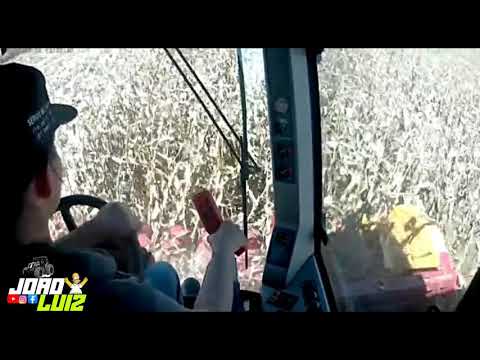 Feliz dia dos Pais moçada bruta