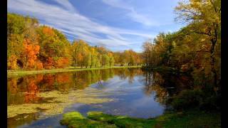 Grass Reflecting on Pond - Dean Evenson & Li Xiangting
