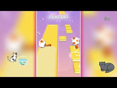 Dancing Cats: Duet Meow Video