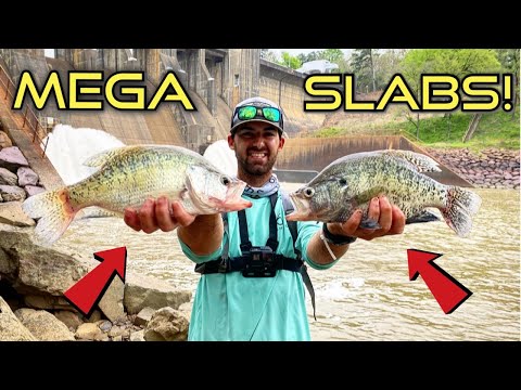 Fishing For MEGA SLAB CRAPPIE at HUGE SPILLWAY! + {Catch Clean Cook!} Delicious SPICY Fish!