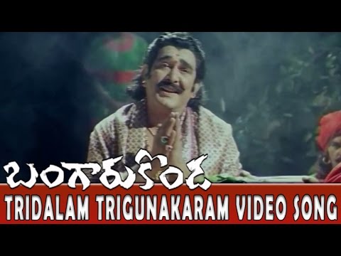 Tridalam Trigunakaram Video Song || Bangaru Konda Movie || Rishi, Navneet Kaur