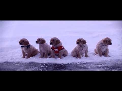 Трейлер