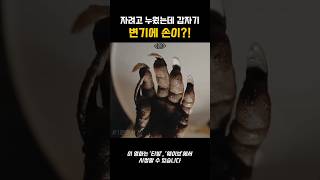 자려고 누웠는데 갑자기, 우리 집 변기에 손이...?!…