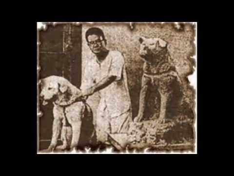 Japan's Most Loyal Dog "Hachiko"
