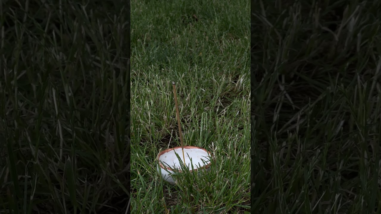 Подставка-пиала Almond «Белая» для благовоний, пало санто