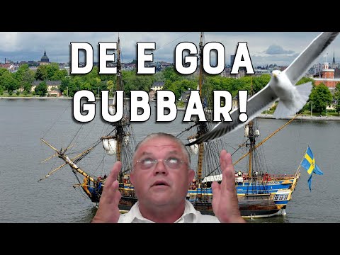 IQ Fiskmås - Carl Norberg - 2021-08-18