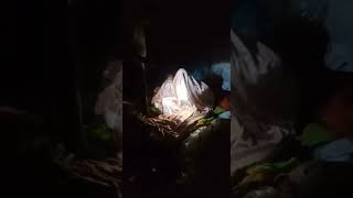 Download lagu Berita viral mesum. sepasang remaja ketahuan sedang mesum di kamar. mp3 Download lagu Berita viral mesum. sepasang remaja ketahuan sedang mesum di kamar. mp3