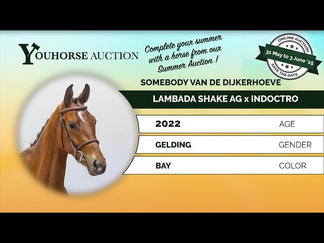 Somebody van de Dijkerhoeve
