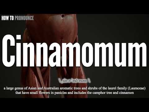 Cinnamomum Pronunciation | How to Pronounce (say) Cinnamomum CORRECTLY | Meaning Definition