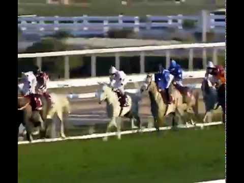 Qatar Trophies & Gold Sword 6th February 2014