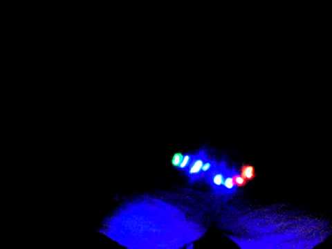 Neon: Borgore-Guided Relaxation Dub