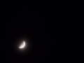 Nana Mouskouri - Sanctus - Half Moon - 19-12-2012 - 2