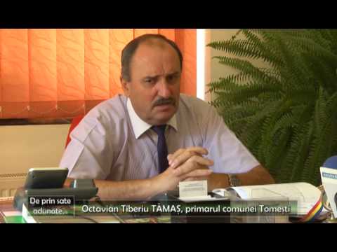 De prin sate adunate - Tomesti