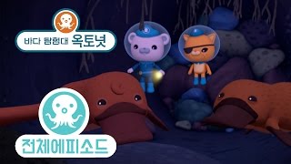 바다 탐험대 옥토넛 - 오리너구리 (시즌3 에피소드6 - 전체에피소드)