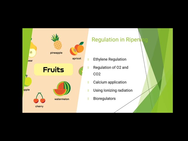 Understanding the Mechanism of Fruit Ripening | Magica