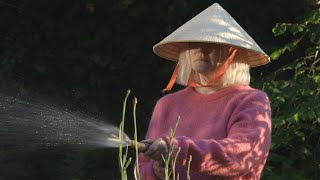 Obstacles in life.mp4