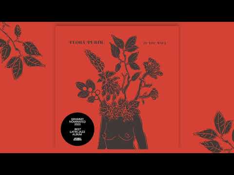 Flora Purim - 500 Miles High