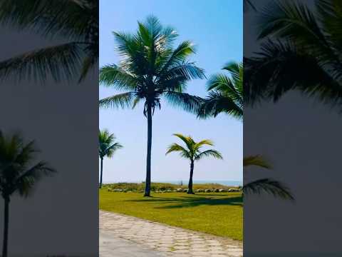 Balneário Inajá Matinhos,Paraná