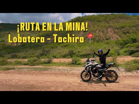 LLEGAMOS A LA ZONA MINERA DE TACHIRA | BOSQUES DE PINO | SAN PEDRO DEL RÍO 