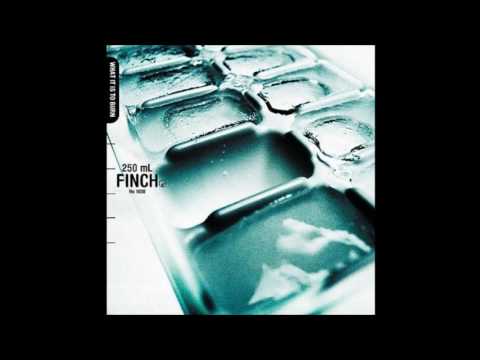 Untitled - Finch