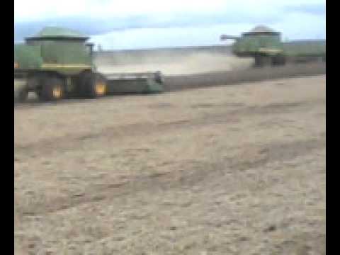 fazenda sta luzia case x sts