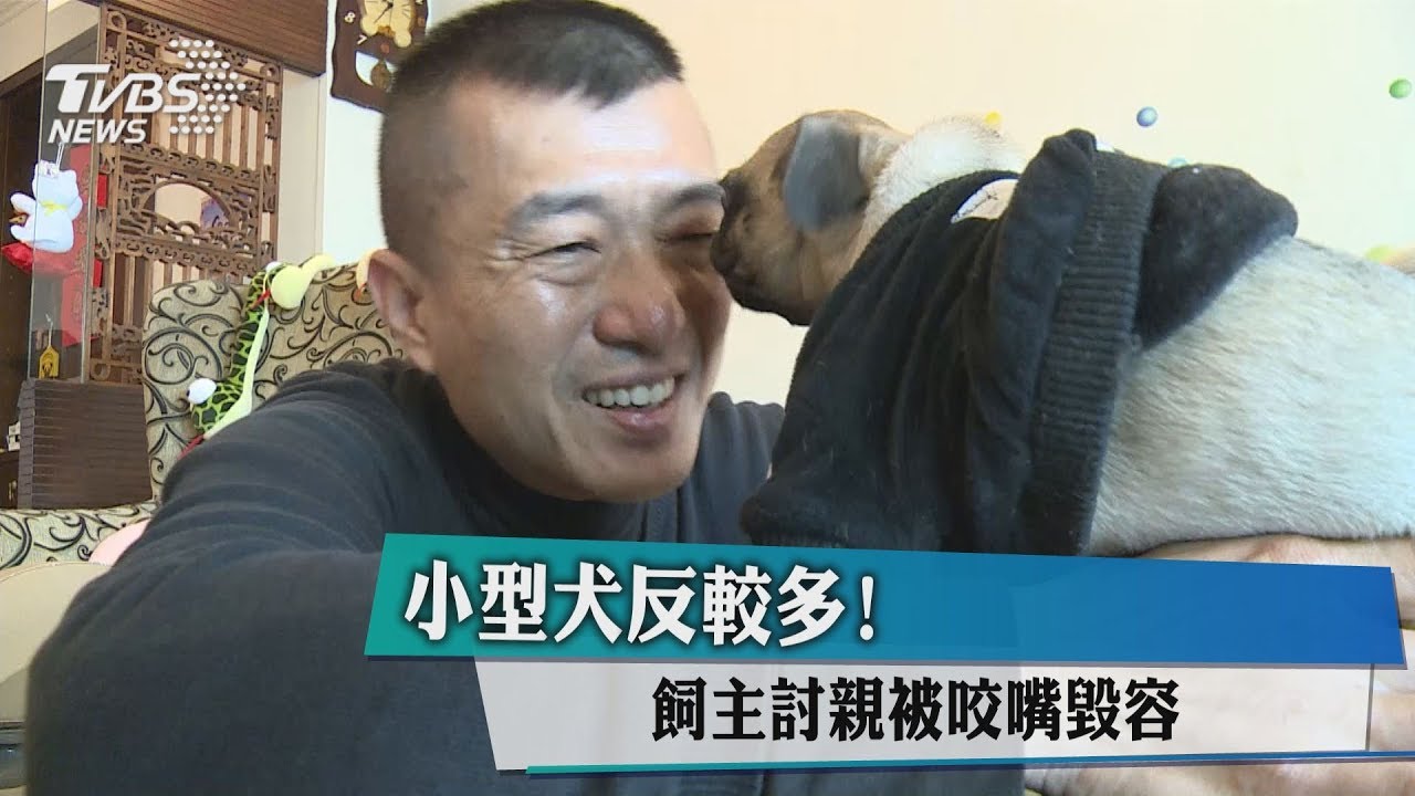 牠不想別硬來!飼主討親被咬掉唇 小型犬居多