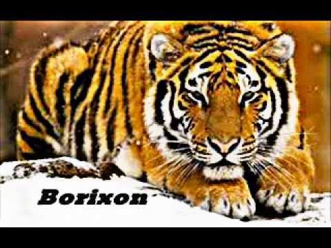 Borixon " Pi I Sigma ft. Gracjan "