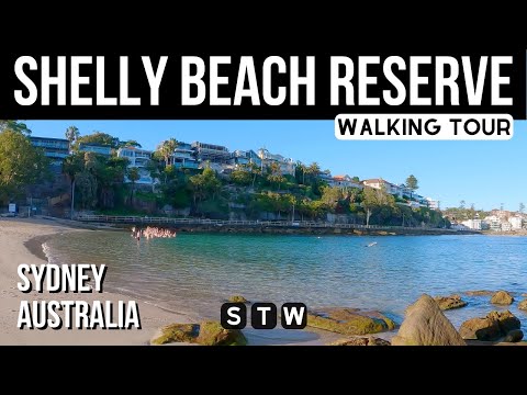 4K 🏝️ Shelly Beach Reserve Walking Tour 🇦🇺 Sydney Australia