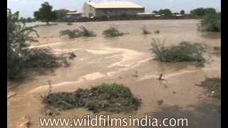 Kheda district in Gujarat floods over - rescuers move in