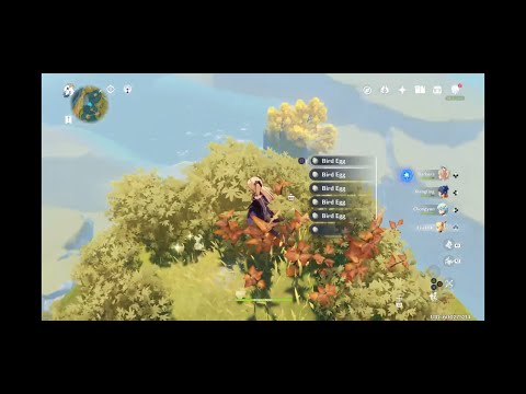 Video preview