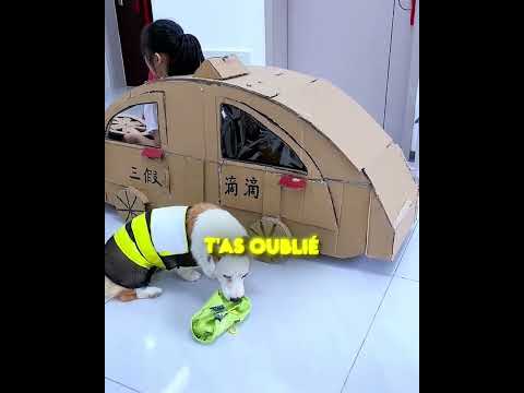 ELLE LUI FERME LA PORTE AU NEZ ! 😱🚕