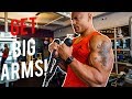 The Best Arm Workout EVER! (INSANE PUMP!)