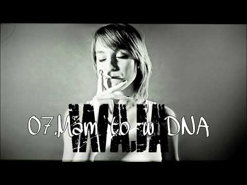 07. Mam to w DNA (Punk Rock 2013)