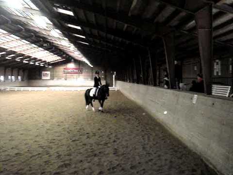 Søndermarkens Camilla Lc3