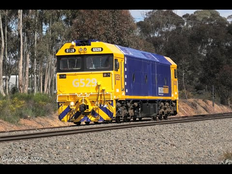 Fresh Paint in the Sun: Pacific National's G529 on 0087 & 0088 Bendigo Crew Trainers- 13/9/22
