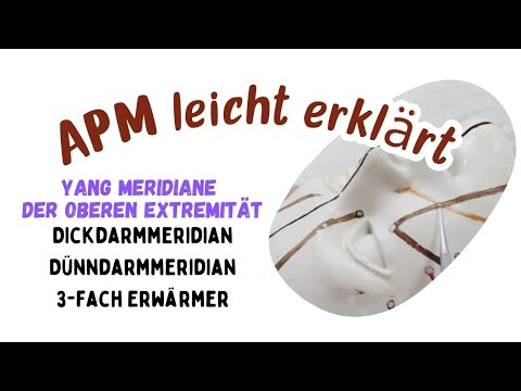 APM: Yang Meridians of the upper extremity: Large intestine meridian, small intestine meridian, t...