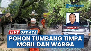Pohon Trembesi Timpa Mobil dan Warga di Comboran Kota Malang saat Tumbang, Korban Terluka