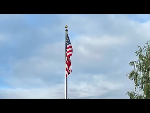 The NIV bible reading: Deuteronomy 25:1-19 and Philippians 4:2-23