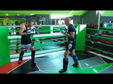 Rasim Alunović vs Cedo Pantic trening