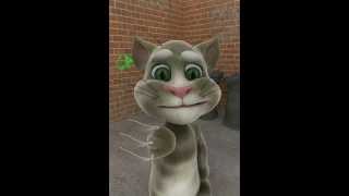 Não Devemos Maltratar Os Animais...  JAMAIS!!!