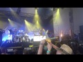 Solidays 28 juin 2014: Cats on trees - Mad World ...