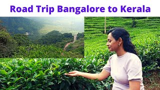 Road trip BANGALORE TO KERALA | Bangalore to Banasura Hill | Moupriya Chakraborty |